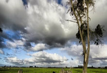 2021年NBA录像高清回放哪里能看？有哪些经典赛事值得重温？